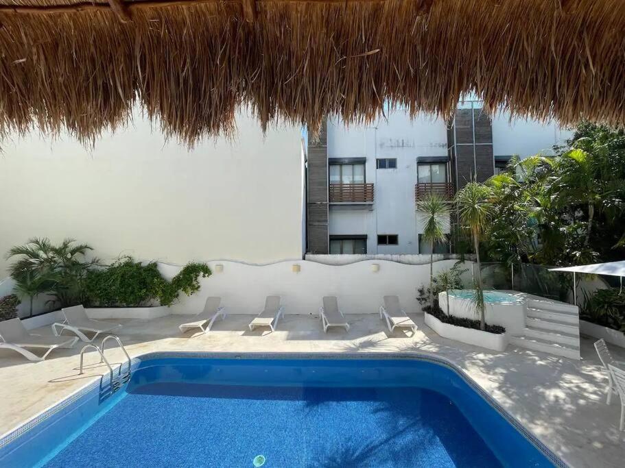 Amplias En Quinta Avenida Apartamento Playa del Carmen