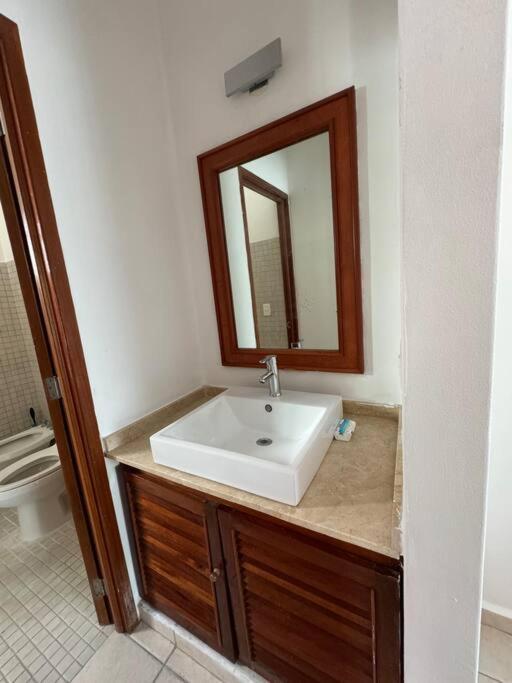 Amplias En Quinta Avenida Apartamento
