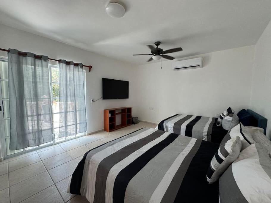 Amplias En Quinta Avenida Apartamento Playa del Carmen